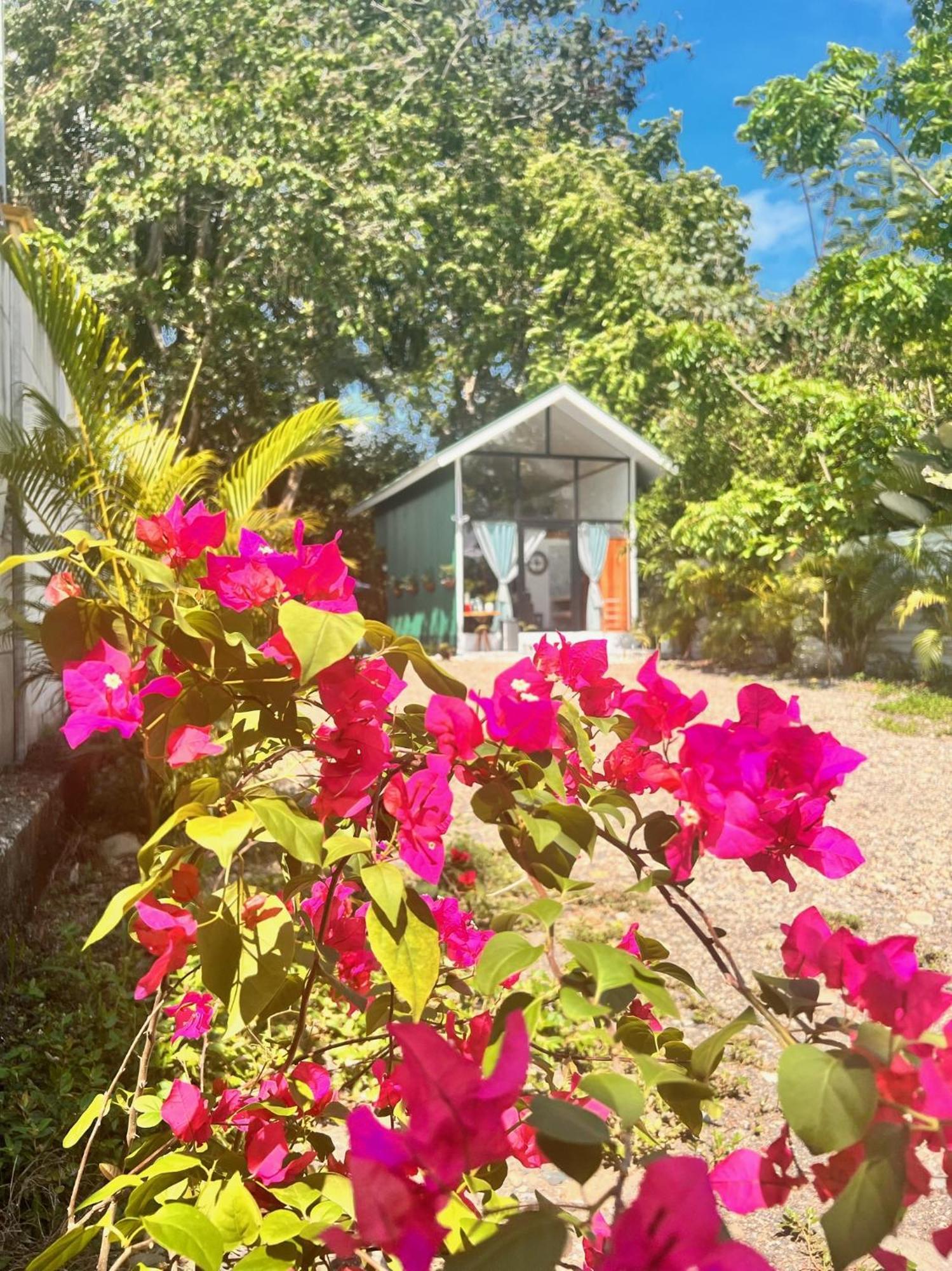 Pura Vida