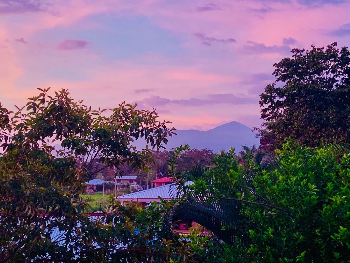 Pura Vida